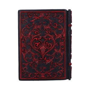 Raven's Grimoire Journal 19cm - Image 4
