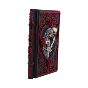 Raven's Grimoire Journal 19cm - Image 5