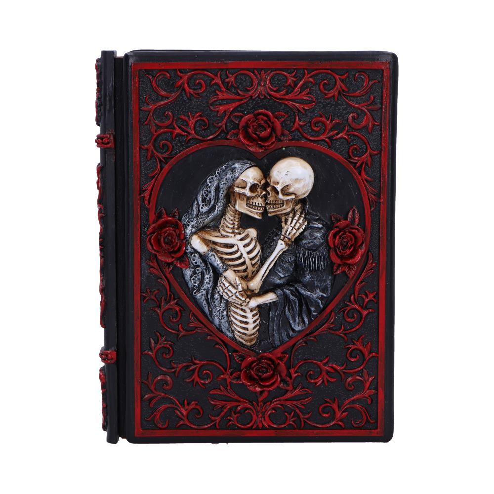 Raven's Grimoire Journal 19cm
