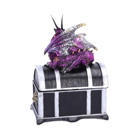 Reptilian Riches Dragon Sitting on a Treasure Chest Storage Box