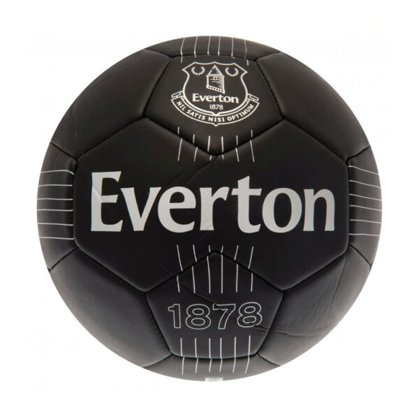 141820 Everton FC Skill Ball RT