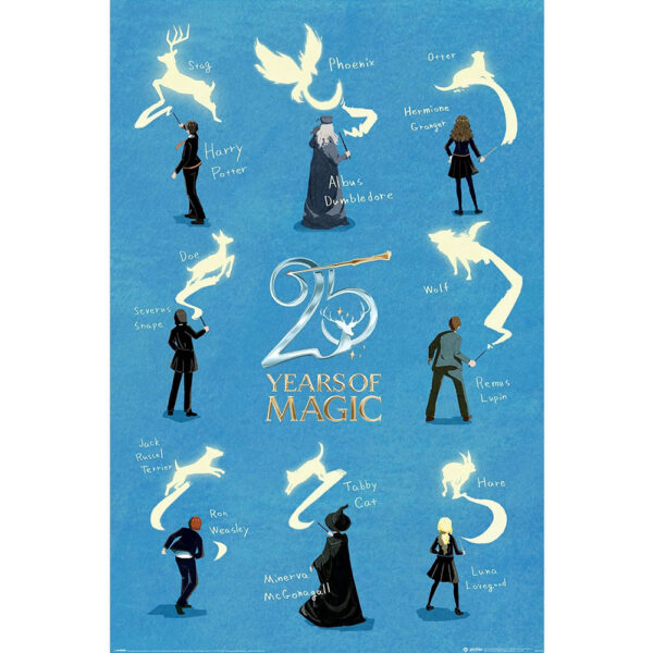 TM 07773 Harry Potter 25 Years Poster