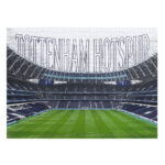 TM 07997 Tottenham Hotspur FC 1000pc Puzzle