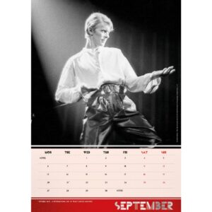 TM 08133 David Bowie A3 Calendar 2027