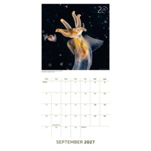 TM 08156 BBC Earth Square Calendar 2027