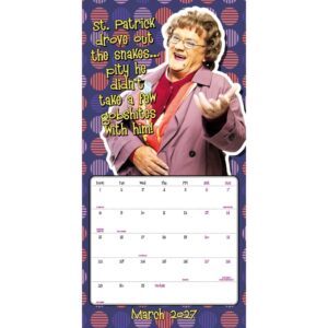 TM 08184 Mrs Browns Boys Square Calendar 2027TM 08184 Mrs Browns Boys Square Calendar 2027
