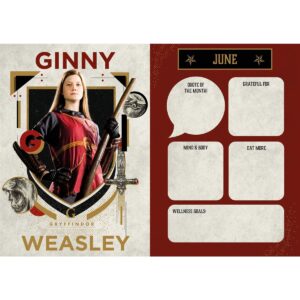 TM 08213 Harry Potter Calendar Diary Gift Box 2027