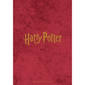 TM 08253 Harry Potter A5 Diary 2027