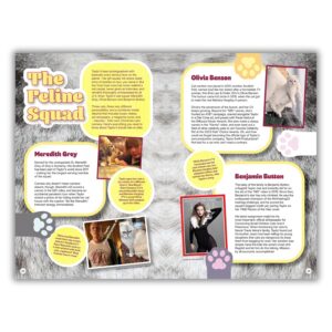 TM 08289 Taylor Swift Annual 2027