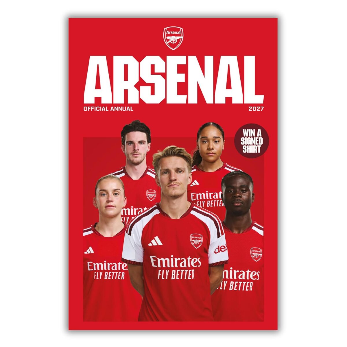 TM 08294 Arsenal FC Annual