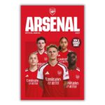 TM 08294 Arsenal FC Annual