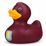 TM 08494 Aston Villa FC Bath Time Duck